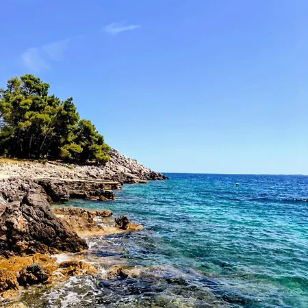 Coral Cove House Vakantiehuis *