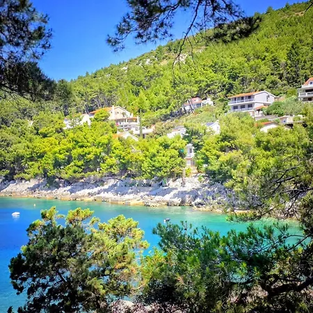 Vakantiehuis Coral Cove House *